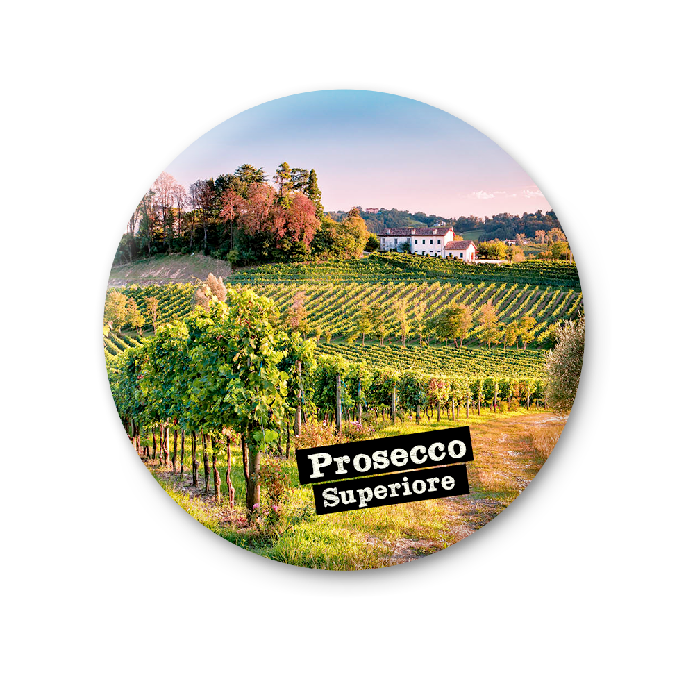 Veneto, Ogliano (Treviso), vigneto di Prosecco