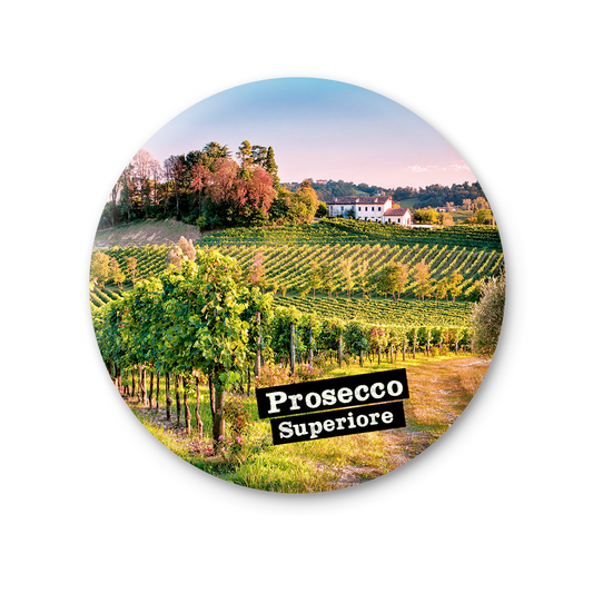 Veneto, Ogliano (Treviso), vigneto di Prosecco